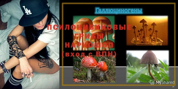 spice Армянск