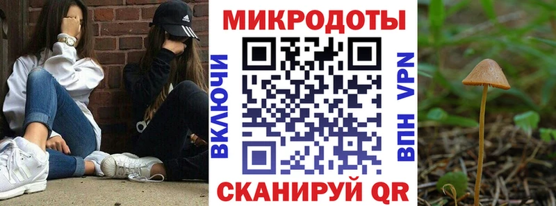 Псилоцибиновые грибы MAGIC MUSHROOMS  где можно купить   Сольвычегодск 